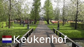 HOLLAND Keukenhof  worlds largest flower garden [upl. by Einnoc122]