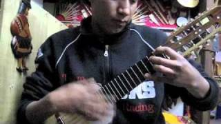 Fantastic Charango Playing in La Paz Bolivia in Local Music Store [upl. by Sim328]