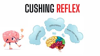 Cushing Reflex triad in critically ill patients [upl. by Mayyahk]