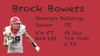 Brock Bowers Georgia Bulldogs 2023 Highlights [upl. by Matheny10]