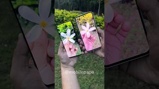 Samsung A35 vs Oppo F25 pro Camera Comparison 🤜📸🤛 shorts samsunga35 oppof25pro comparison [upl. by Annailuj]