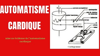 Cours 12 SVT Automatisme Cardiaque Terminale [upl. by Nonnah]