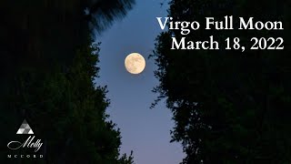 Virgo Full Moon Ready For Shifts and Knowing That quotItquot Will Be Worth The Wait March 2022 Astrology [upl. by Brunhild]