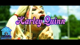 Projects To Mansions  Harley Quinn Official Music Video  PTM [upl. by Siul]