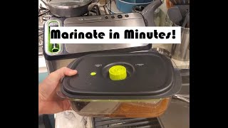 How to Marinate in Minutes  Food Saver Marinating Container Review with Simple Marinade Recipe [upl. by Egoreg]