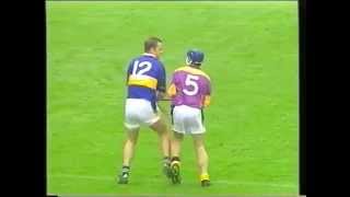 Tipperary vs Wexford Hurling Fight 2001 [upl. by Engedi641]