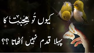 Kyun Tu Muhabbat Ka Pehla Qadam Nhi UthataUrdu quotesLove wordsabrishwrites8628 [upl. by Akenahc]