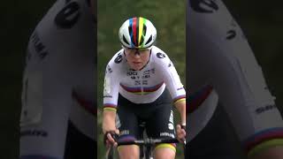 🇳🇱 World champion Fem van Empel takes Koppenbergcross win in Oudenaarde 🥇CycloCross cycling [upl. by Millian983]