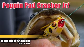 How to Fish the Poppin Pad Crasher Jr Jason Christie Tips amp Techniques [upl. by Cida]