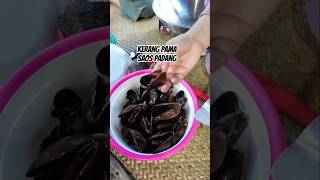 KERANG PAMA DARI BONTANG DIMASAK SAOS PADANG‼️mamahnada balikpapansudah ngeshortsbareng [upl. by Becka100]