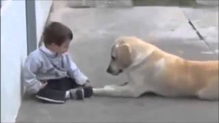 RAWFULL Dog Determined To Make Friends With Boy With Down Syndrome [upl. by Recor]