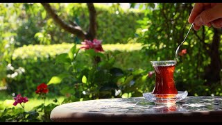 Tea’s Ready by Enes Guven [upl. by Kerman920]