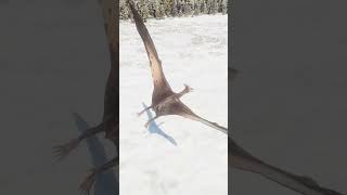 INDORAPTOR CATCHES PTERANODON MIDAIR  Jurassic World Evolution 2 Shorts [upl. by Hait]