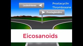 Eicosanoids in 2 minutes Prostaglandins Prostacyclin Thromboxane and Leukotrienes [upl. by Ahsiki]