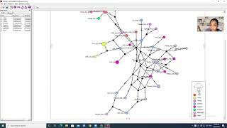 Haplotype Network using POPART Tagalog [upl. by Radburn564]