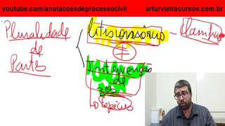 Pluralidade de partes litisconsórcio e intervenção de terceiros  noções gerais [upl. by Ahseuqram495]