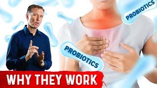 Use Probiotics for Acid Reflux [upl. by Gib]