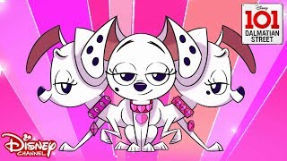 Diva Pups  101 Dalmatian Street  Disney Channel Africa [upl. by Princess339]