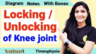 Locking amp Unlocking of Knee Joint  Lecture 3 I BPT MPT I By Dr Mitali Yadav Mam  Timesphysio [upl. by Plusch]