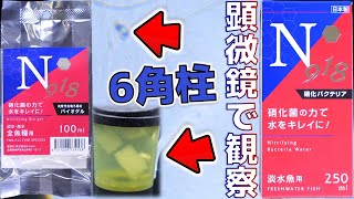 【ろ材・バクテリア】9属18種の細菌で水を浄化する独自技術。流動式フィルターに対応したネクストの生物ろ過版誕生！Bblast N918バイオゲル硝化バクテリア【ふぶきテトラ】 [upl. by Munt]