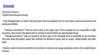 31 The parenchyma comes in two varieties columnar and spongy [upl. by Atlante]