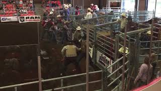 Leduc Black Gold Pro Rodeo Wild Horse Race 2018 [upl. by Opalina]