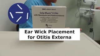 Ear Wick Placement for Otitis Externa [upl. by Maggio242]