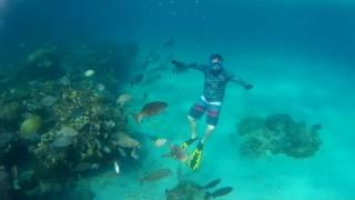 Snorkeling Villa Jibacoa  Memories Jibacoa Cuba [upl. by Ahsiena794]