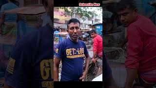 Hasnabad kobutor hat kobutorhat kabutar pigeon shortvideos shorts viralvideo viralshorts [upl. by Bo]