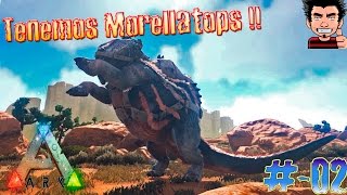 ARK Survival Evolved Domesticamos Morellatops  La Aventura del desierto gameplay español [upl. by Maynord]