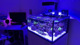 INNOVATIVE MARINE lagoon 25  9 Month Update [upl. by Thenna841]