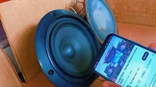 Dual Subwoofer Bass Testing With Two Songs😳 bass test [upl. by Keraj]