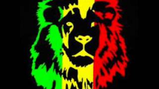 Alborosie  Kingston Town Sylobin Drum and Bass Remix [upl. by Suirtimed854]