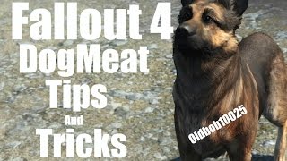 Fallout 4 Dogmeat Tips amp Tricks you should know [upl. by Nilak]