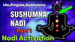 What is Nadi  IdaPingalaSushumna  Nadi  Part 1  Kundalini [upl. by Ettesil]