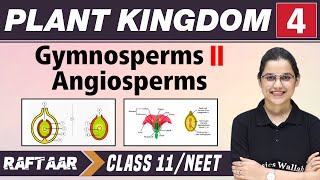 Plant and Kingdom 04  Gymnosperms l Angiosperms  Class 11NEET  RAFTAAR [upl. by Retswerb]