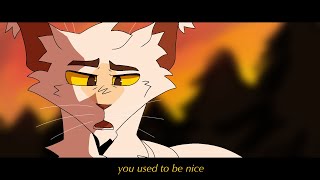 you used to be nice  Tigerclaw amp Whitestorm  warrior cats pmv [upl. by Aicenat104]