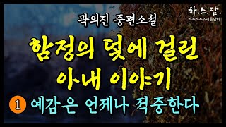 점점 남이 되어가는 부부 아내는 스스로 파 놓은 함정의 덫에 걸렸다  돛 올려라 1 예감은 언제나 적중한다 곽의진 중편소설 하소담오디오드라마 [upl. by Nosyerg]