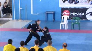 Hapkido Femenino ISHF 2015 [upl. by Inaffets]