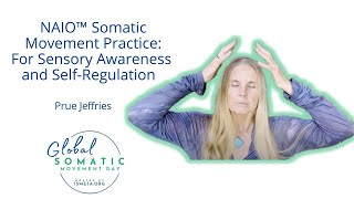 NAIO™ Somatic Movement Practice For Sensory Awareness and SelfRegulation  Prue Jeffries [upl. by Notsob285]