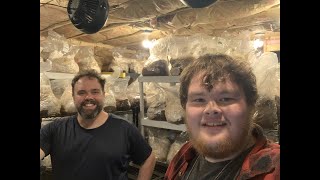 How This Small Mushroom Farm Yields 270 Lbs  A Week [upl. by Leimad]