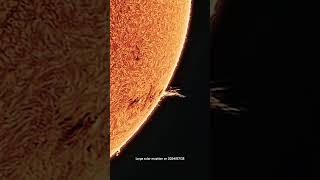 2024 07 25  Our Sun in Ha solar eruption 5x bigger than earth science sun space [upl. by Ynna79]