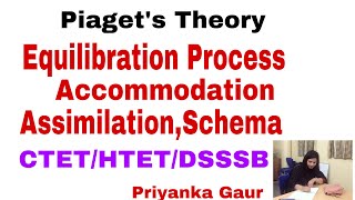 P11 Piaget’s Theory EquilibrationAssimilationAccommodationSchemas  CTETHTETDSSSBTET’s Exam [upl. by Wilsey]