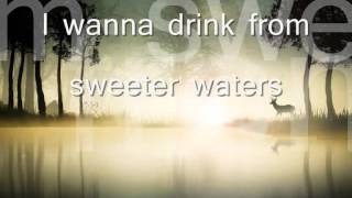 Phil Wickham  Heaven Song with lyrics [upl. by Naenaj]