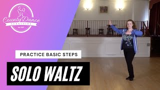 Waltz Basic for Solo Practice [upl. by Paule]