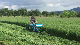 Unique BCS 303 Quadricycle Mower Not for sale [upl. by Annej]