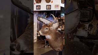 CUTTING A Taxidermy DEER Mount IN HALF with a CHAINSAW [upl. by Elatnahc]