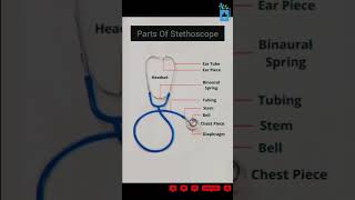 Parts of stethoscope doctor medicalstudent medical shorts [upl. by Yerfoeg]