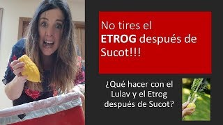 Que hacer con el lulav DESPUES de Sucot [upl. by Micro]