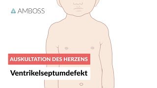 Ventrikelseptumdefekt  Auskultation des Herzens  Folge 11 [upl. by Naryt]